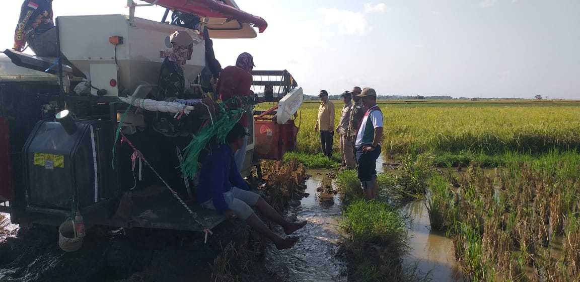 Kunjungi Garut, Stafsus Wamentan Dorong Pameungpeuk Lumbung Pangan Nasional